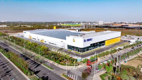 摔斷腿后去創(chuàng)業(yè),第二年賣了10個(gè)億